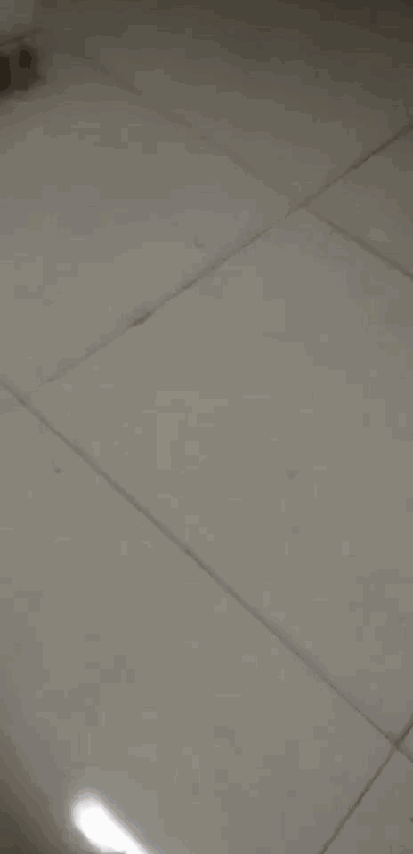微信图片_20190202140421.gif