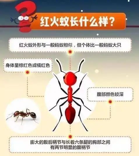 微信图片_20220801110325.jpg