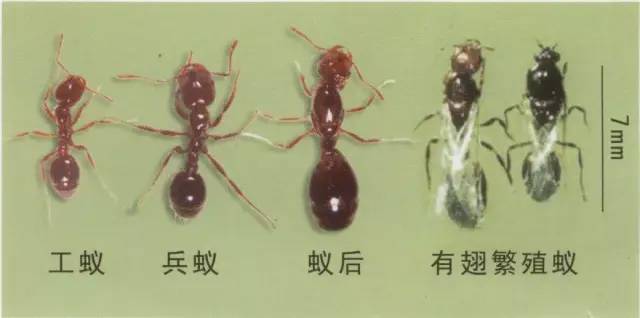 微信图片_20220801111034.jpg