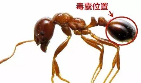 微信图片_20220801111054.jpg