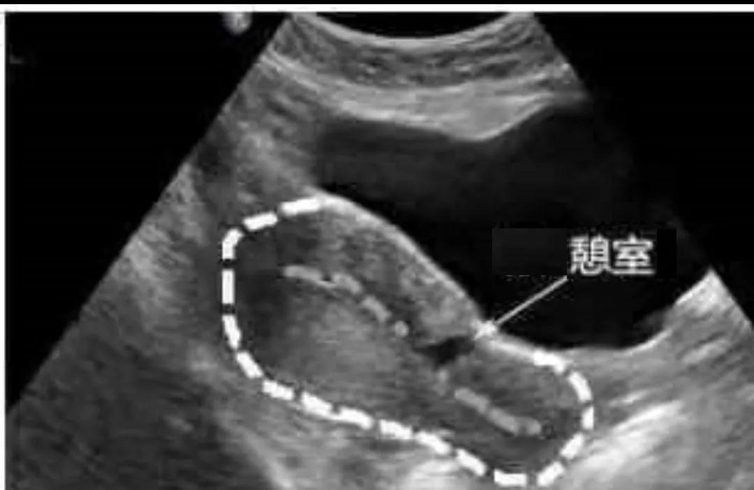 微信图片_20200103214233.jpg