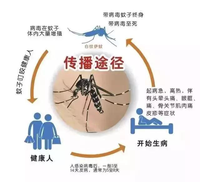 微信图片_20190719103234.jpg