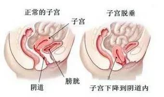 微信图片_20190923081115.jpg