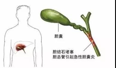 微信图片_20190719165320.jpg