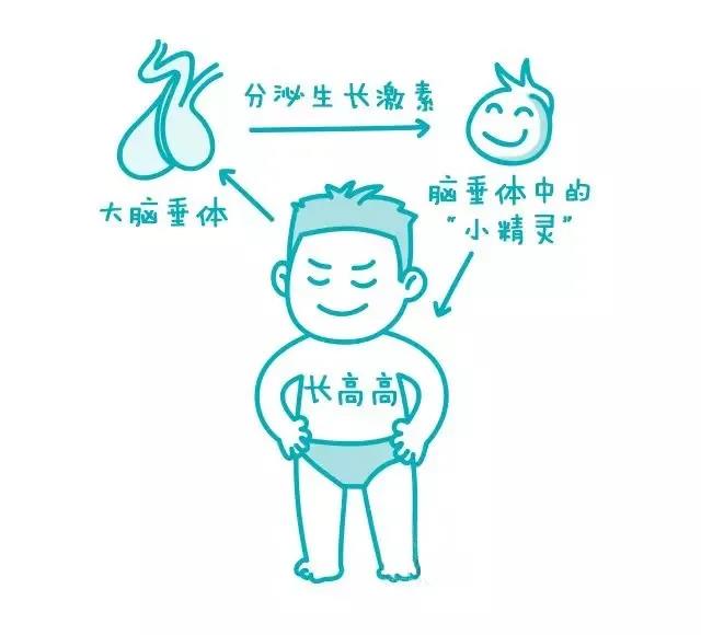 C:\Users\Administrator\Desktop\网站照片\8.14（11）.jpg