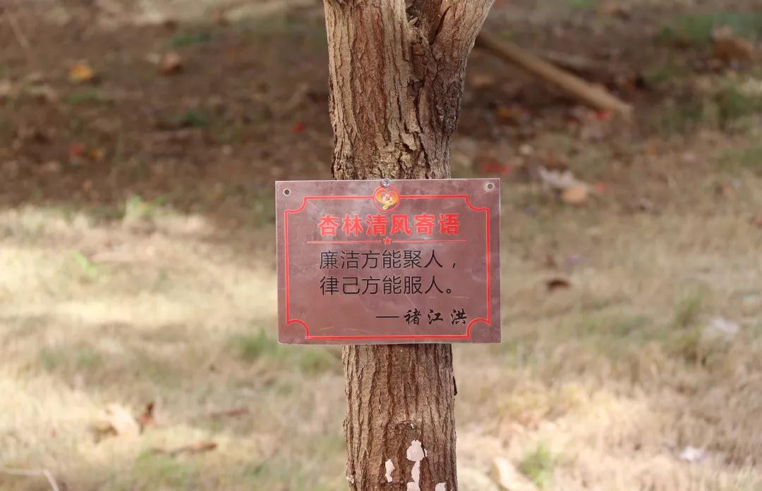微信图片_20181217140000.jpg