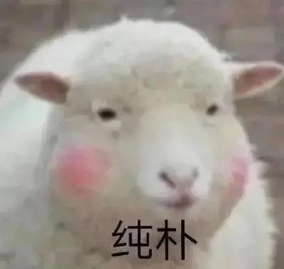 C:\Users\Administrator\Desktop\网站照片\12.11（7）.jpg