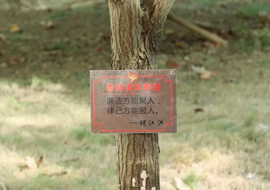 微信图片_20190719195526.jpg